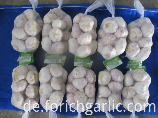 2019 Fresh Normal White Garlic